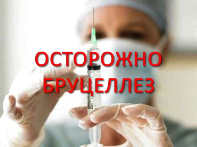 Осторожно-бруцеллез! Осторожно-бруцеллез!.